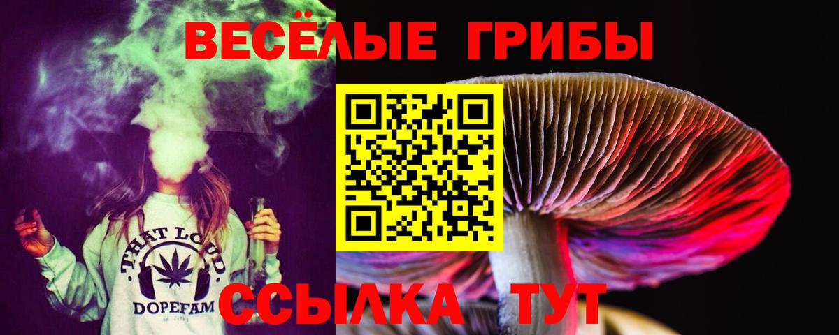 Галлюциногенные грибы GOLDEN TEACHER  где купить   Нарьян-Мар  Вход с VPN 